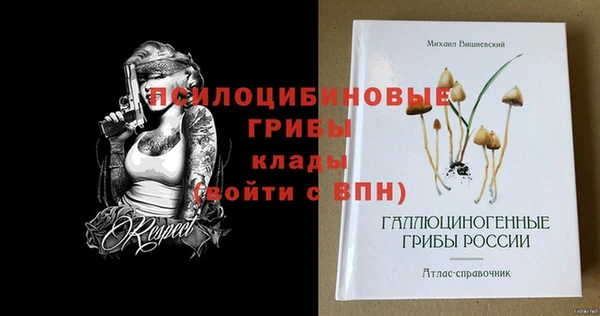 стафф Зеленокумск