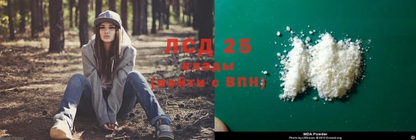 стафф Зеленокумск