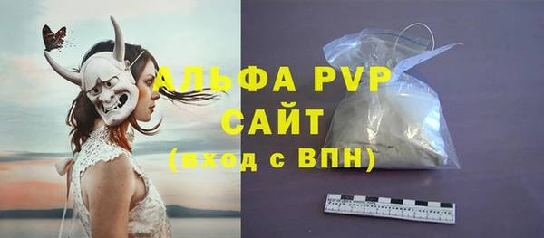 стафф Зеленокумск