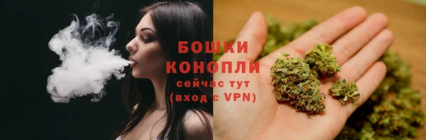 стафф Зеленокумск
